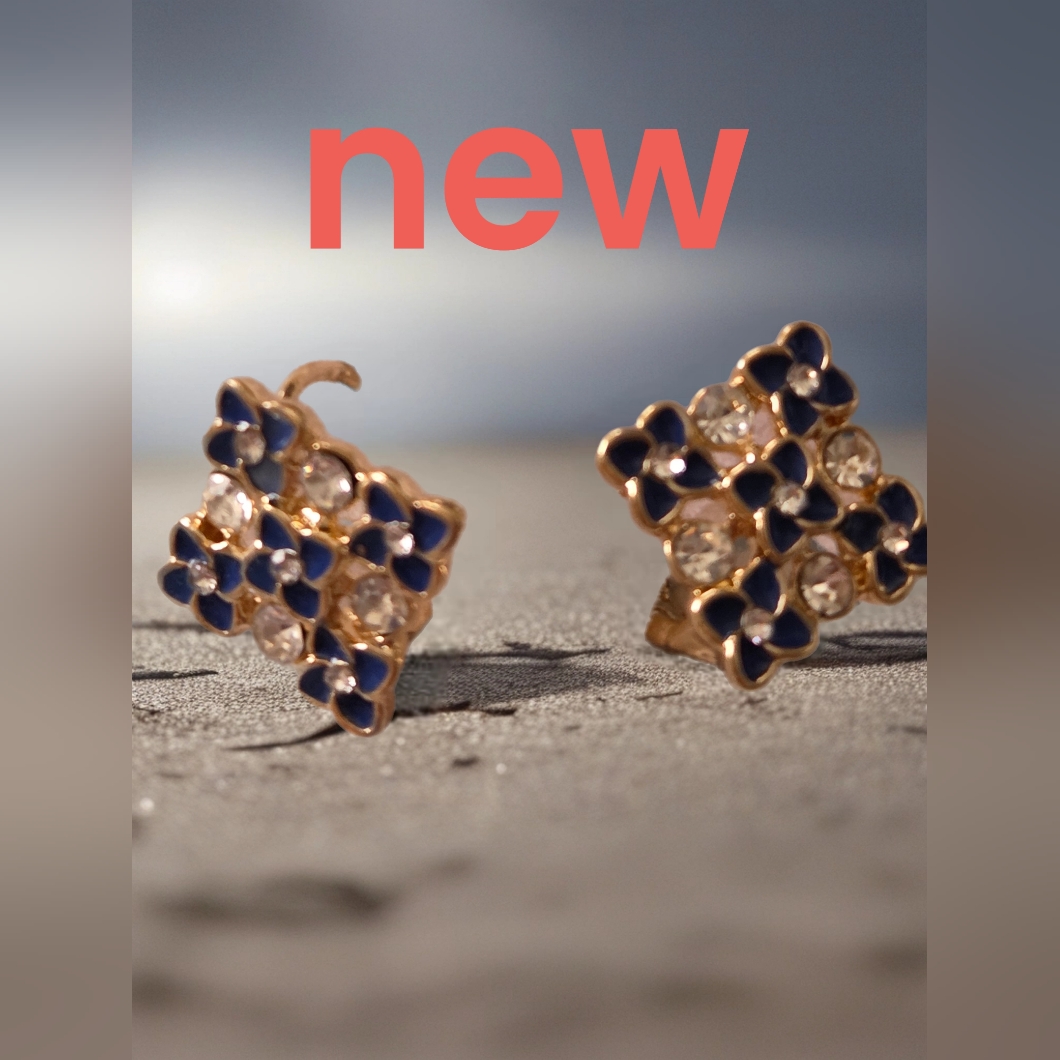 0945 Fashion Jewelry Earrings New Women